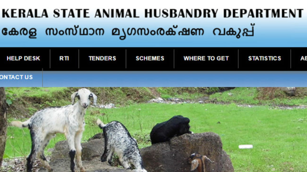 Directorate of Animal Husbandry Recruitment 2018: Apply for the post of  Doctor - MixIndia