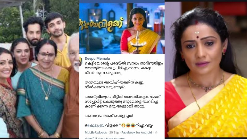 The whole story is illegitimate, a shameful daughter - in - law and mother - in - law.