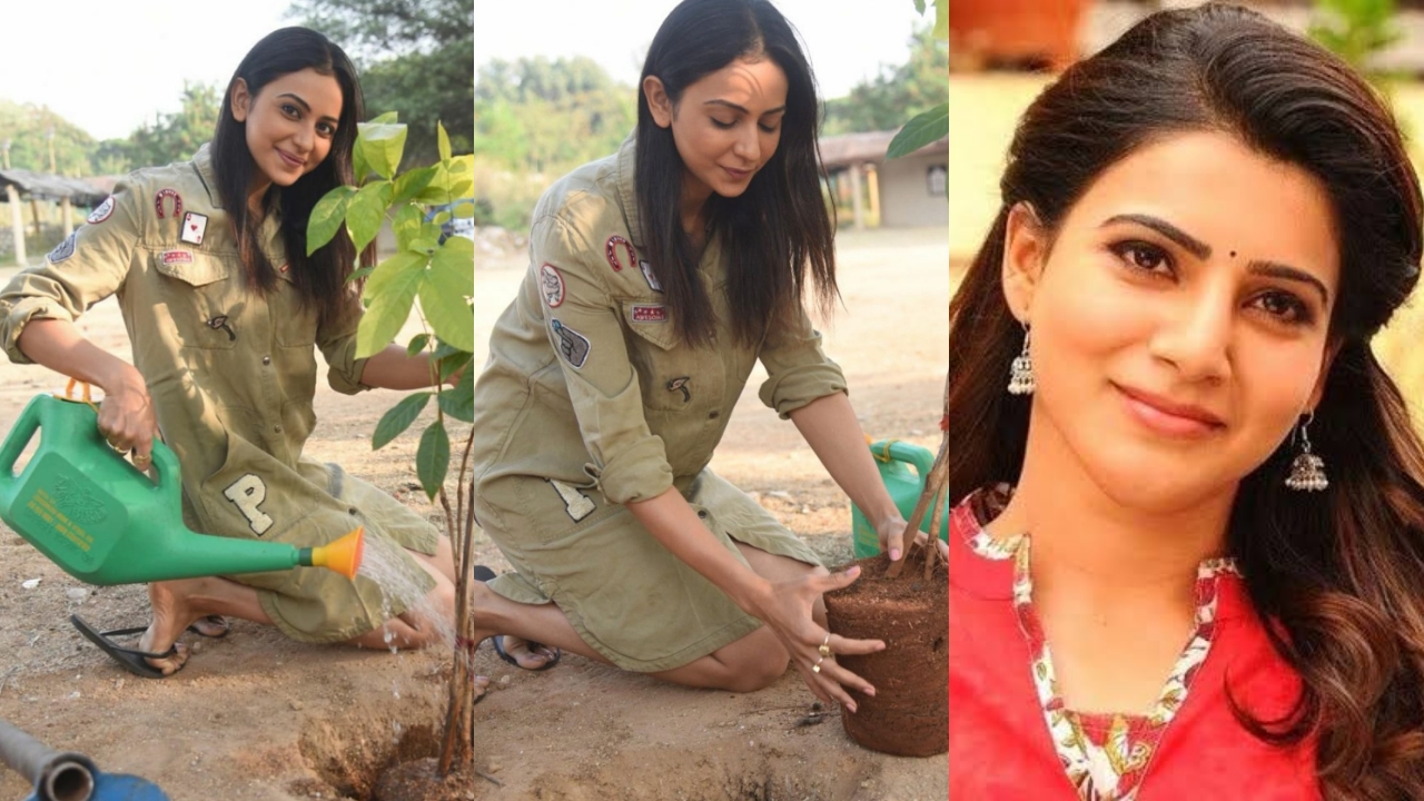 Rakul posted a photo of the tree planting on Instagram and Samantha immediately flew away with the comment