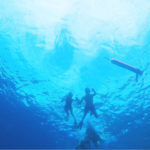 kajal agarwal underwater honeymoon photos (1)