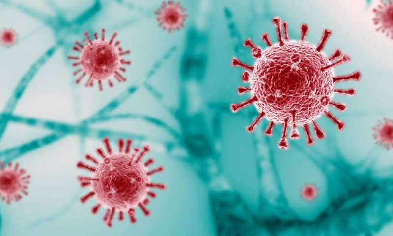 Another covid death in the state, the deceased was a native of Kozhikode