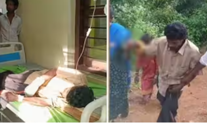 Bear attack in Kerala after tiger attack: Tribal youth injured in bear attack in Idukki
