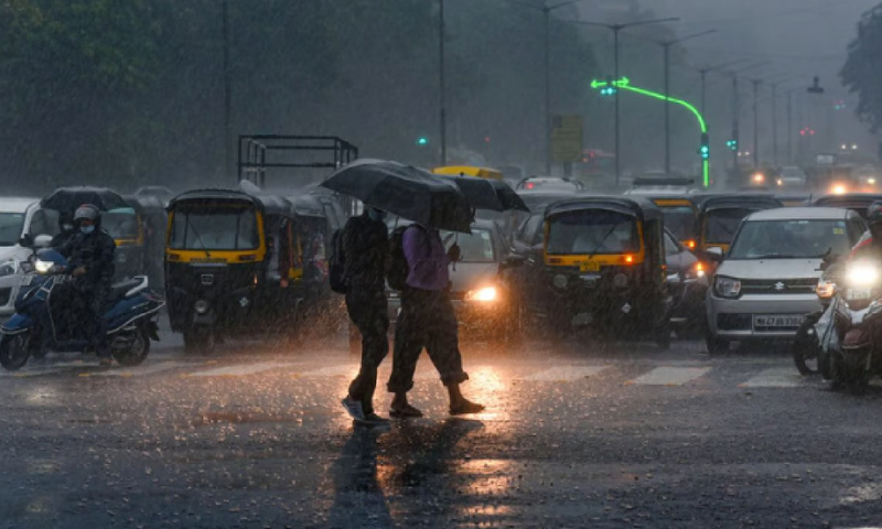 Cyclone;  There is a possibility of heavy rain in the state today and tomorrow, orange alert and lightning alert in more districts