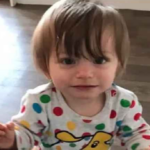 Father has a heart attack;  2-year-old starved to death at home alone;  tragedy