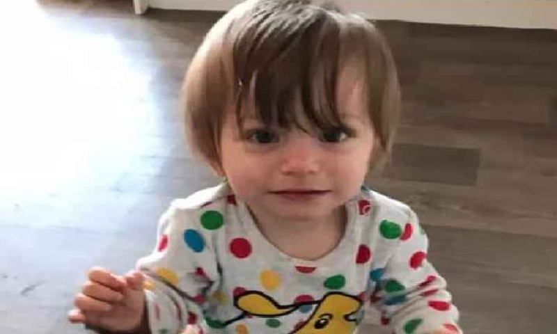 Father has a heart attack;  2-year-old starved to death at home alone;  tragedy