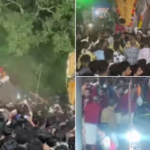 One group says that Thrikadavur Sivaraju is the leader, while another group says that Chirakal Kalidasa is the one;  Elephant lovers fight each other during the festival over elephants' heads