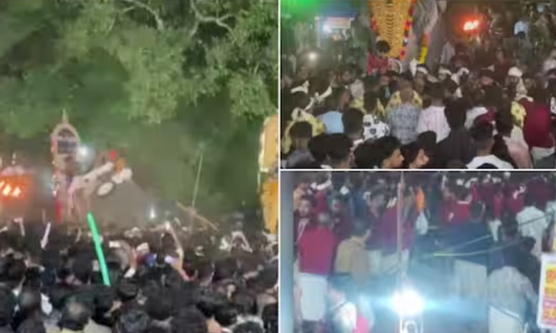 One group says that Thrikadavur Sivaraju is the leader, while another group says that Chirakal Kalidasa is the one;  Elephant lovers fight each other during the festival over elephants' heads