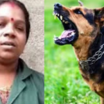 'Don't call my dog ​​a dog';  Haritakarma Sena member was bitten by the dog