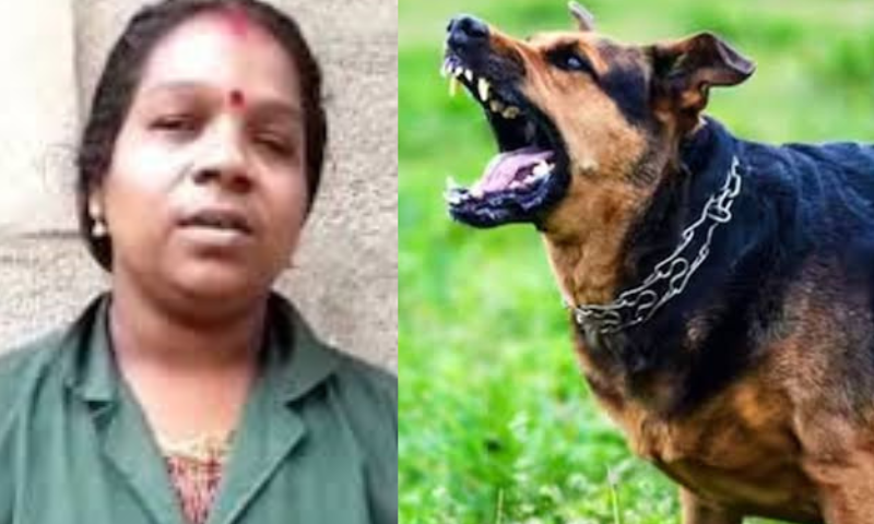 'Don't call my dog ​​a dog';  Haritakarma Sena member was bitten by the dog