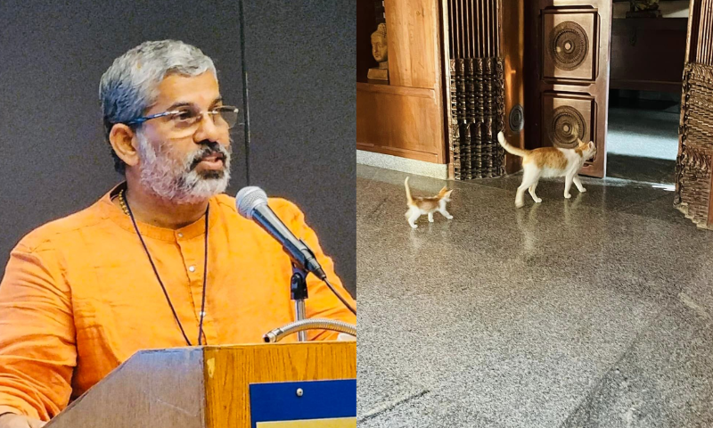 'Kalyani' the cat's cub at the Ashram was named 'Moiteen';  Sandeepanandgiri trolled VHP