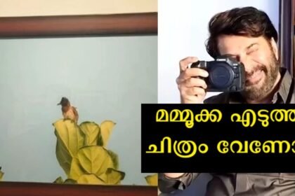 Mammootty's photo auction, don't think you can jump and buy it, fans are shocked to hear the base price
