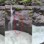 The daughter did not know that this was her father's last video. He died in front of his daughter. Watch the video