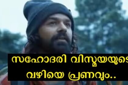 We know that Pranav Mohanlal roams the hills, mountains and jungles, but this is not just for adventure and entertainment, the audience has now caught on to a new reason.